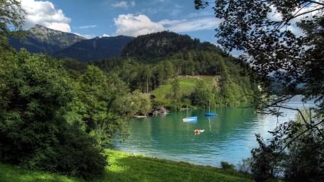 Serene Lake Surrounded by Lush Mountains and Trees wallpaper