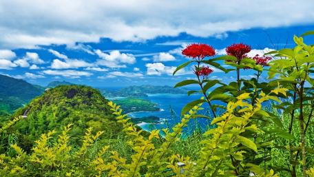 Seychelles landscape wallpaper
