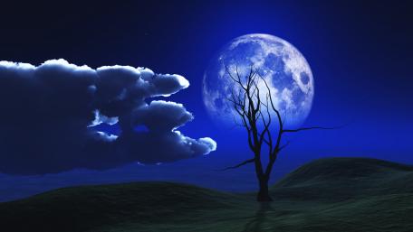 Spectral Moonlit Landscape in Blue Hue wallpaper