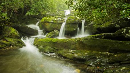 Great Smoky Mountains National Park wallpaper