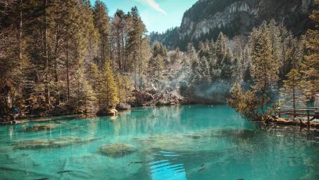 Blausee wallpaper