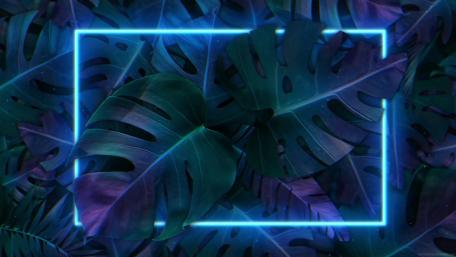 Neon Glow in Tropical Foliage wallpaper