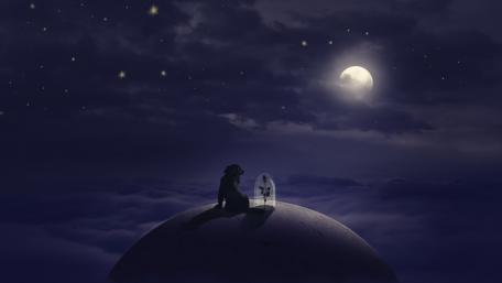 A Lonely Night Under the Moonlight wallpaper