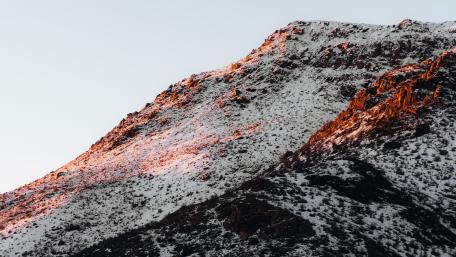 Painted Top wallpaper