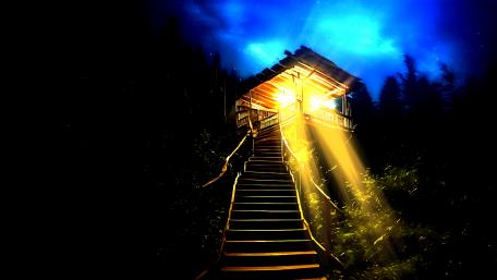 Mystical Cabin in the Night Forest wallpaper