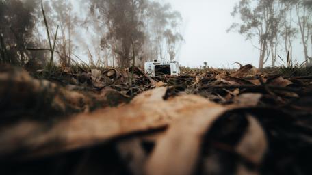 Ancient technology and nature wallpaper