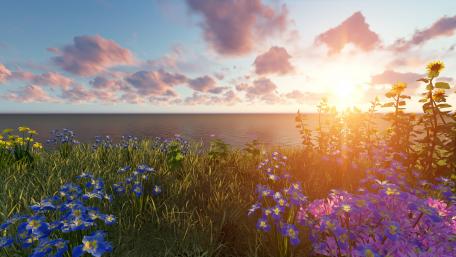 Sunset Serenity by the Sea wallpaper