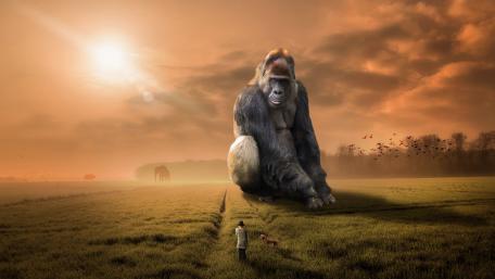 Giant gorilla wallpaper