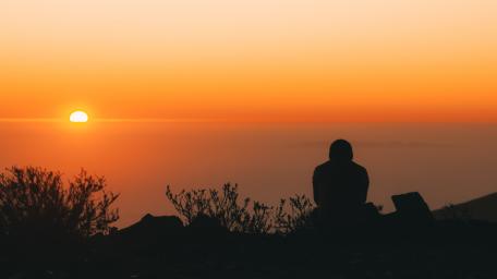 Watching the sunset wallpaper