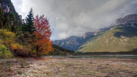 Autumn Serenity in the Wilderness wallpaper