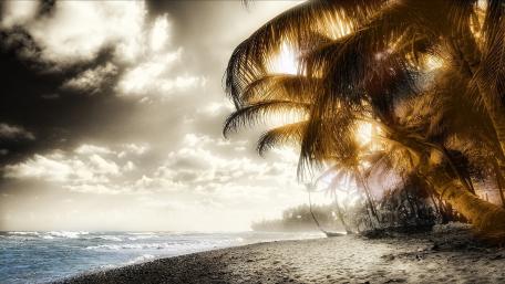 Serene Coastal Escape with Palm Trees wallpaper