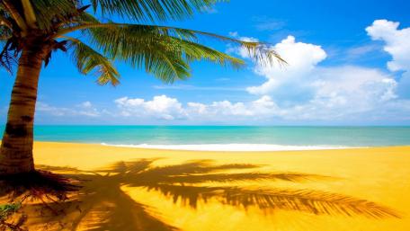 Tropical Summer Bliss wallpaper