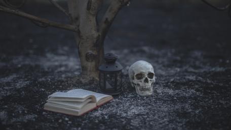 Mystic Skull and Ancient Tomes wallpaper