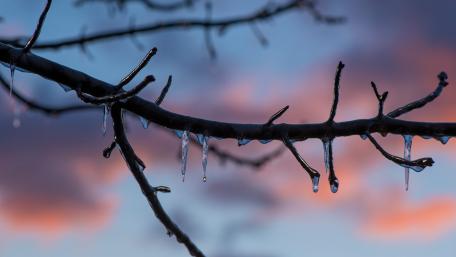 Frozen Serenity in Nature's Embrace wallpaper