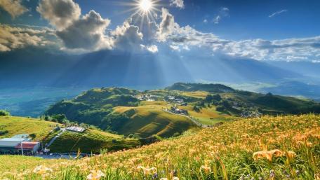 Golden Sunshine Over Verdant Hills wallpaper