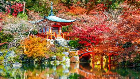 Daigo-ji temple in autumn wallpaper