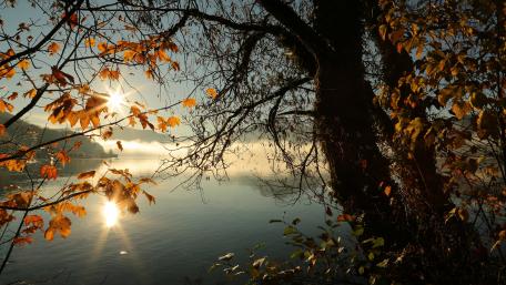 Autumn Morning by the Lake wallpaper