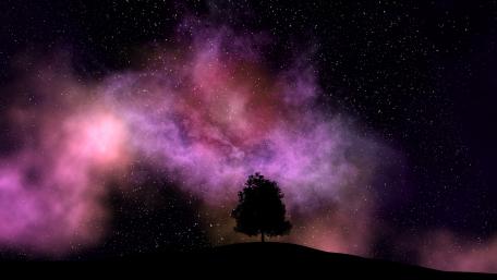 Mystical Lone Tree Under a Starry Sky wallpaper