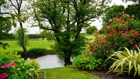 Serene Garden Oasis in 5K Detail wallpaper