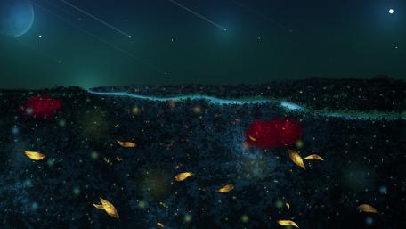 Mystical Night Under Meteor Showers wallpaper