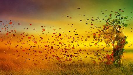Enchanting Autumn Spirit in Vibrant Colors wallpaper