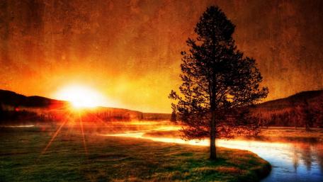 Golden Dusk by the River wallpaper