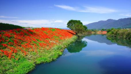 Vibrant River Reflection Under Clear Sky wallpaper
