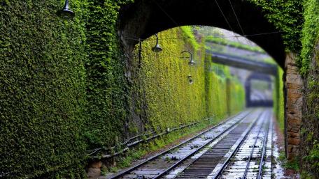 Lush Green Railway Tunnel Scene wallpaper
