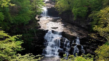 Tranquil Waterfall Surrounded by Lush Greenery wallpaper