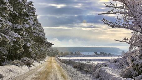Winter Wonderland Road Through Snowy Landscape wallpaper