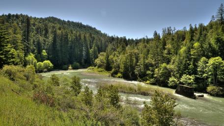 Tranquil Forest River Scene with Lush Greenery wallpaper