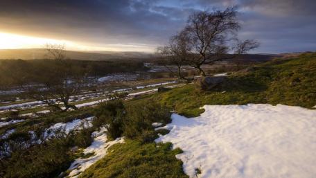 Serene Winter Landscape at Dusk wallpaper