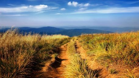 Golden Pathway through the Mountains wallpaper