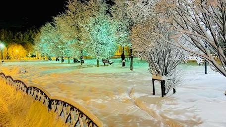 Winter Wonderland in the City Park wallpaper