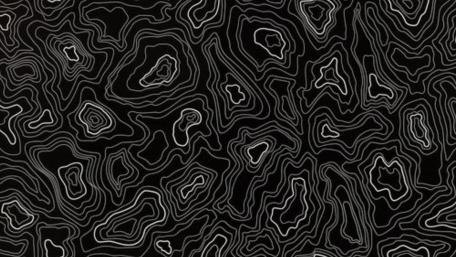 Monochrome Topographic Contours wallpaper
