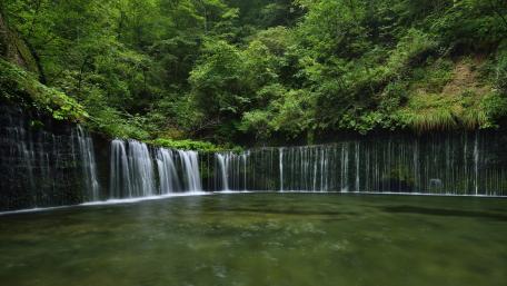 Shiraito Waterfall wallpaper