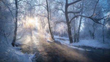 Winter's Sunlit Serenade wallpaper