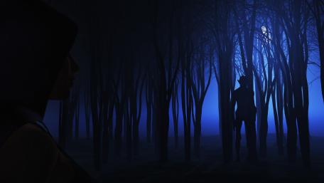 Eerie Shadows in the Forest wallpaper
