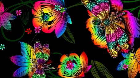 Colorful Butterfly Symphony on Black Background wallpaper