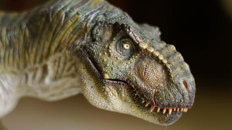 Majestic T-Rex in Stunning Detail wallpaper