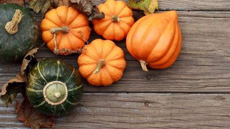 Autumnal Harvest of Pumpkins and Squash wallpaper