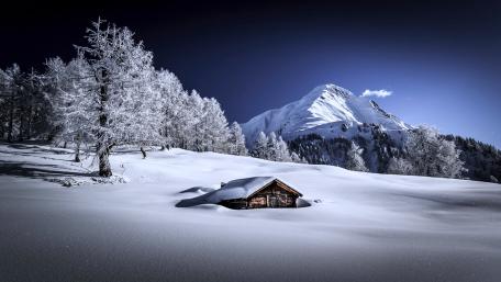 Serenity in Snowy Solitude wallpaper