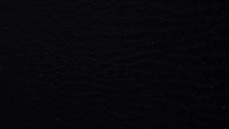 Whispering Sands of the Night wallpaper