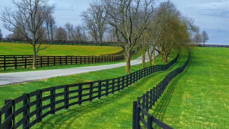 Tranquil Countryside Road wallpaper