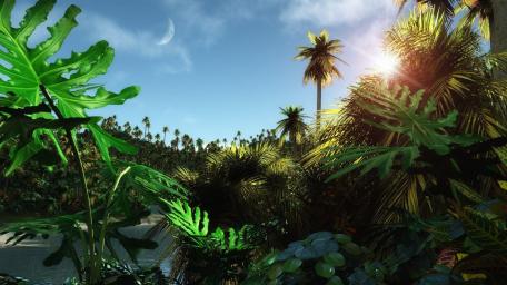 Tropical Serenity at Sunset wallpaper