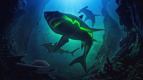 Majestic Megalodon in Mystic Depths wallpaper