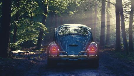 Vintage Beetle in Sunlit Forest wallpaper