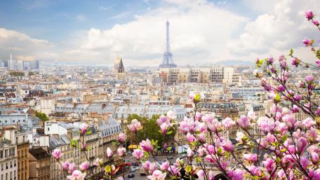 Springtime in Paris with Blooming Magnolia wallpaper