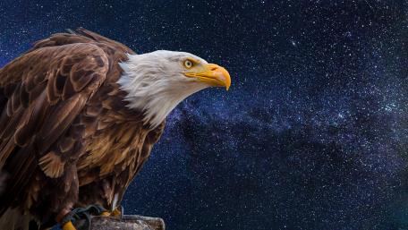 space & eagle wallpaper