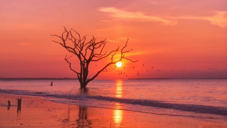 Sunset Serenity by the Shore wallpaper